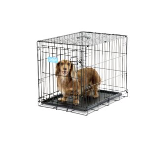 Carlson Pet Products SECURE AND FOLDABLE Single Door Metal Dog Crate, Small, 24.0"L x 18.0"W x 19.0"H