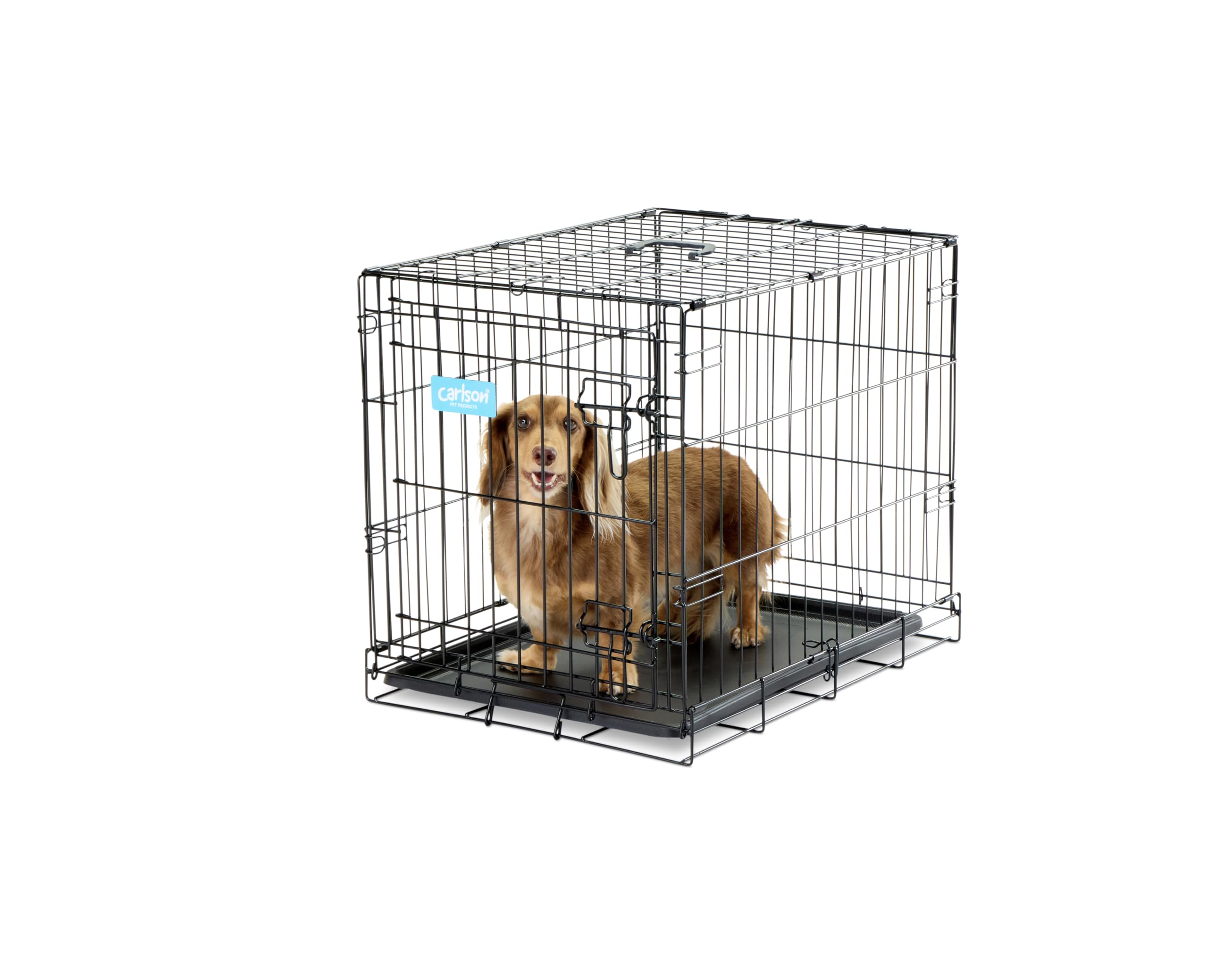 Carlson Pet Products SECURE AND FOLDABLE Single Door Metal Dog Crate, Small, 24.0"L x 18.0"W x 19.0"H