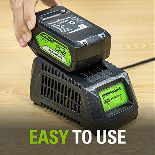 Greenworks G-24 24V Lithium Ion Battery Charger, 29862