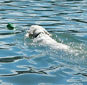 Cycle Dog Small Blue 3-Play Hippo Dog Toy with Ecolast Recycled Material - Tough & Sustainable Chew Toy for Dogs & Puppies/Treat Dispenser/Floats Above Water/Indestructible for Aggressive Chewers