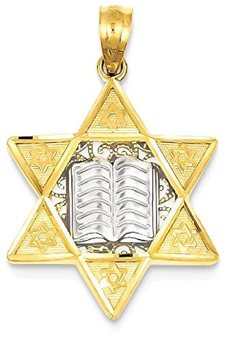 14K Two Tone Gold Star of David Jewish Magen Necklace Judaica Religious Pendant Israel Charm Only