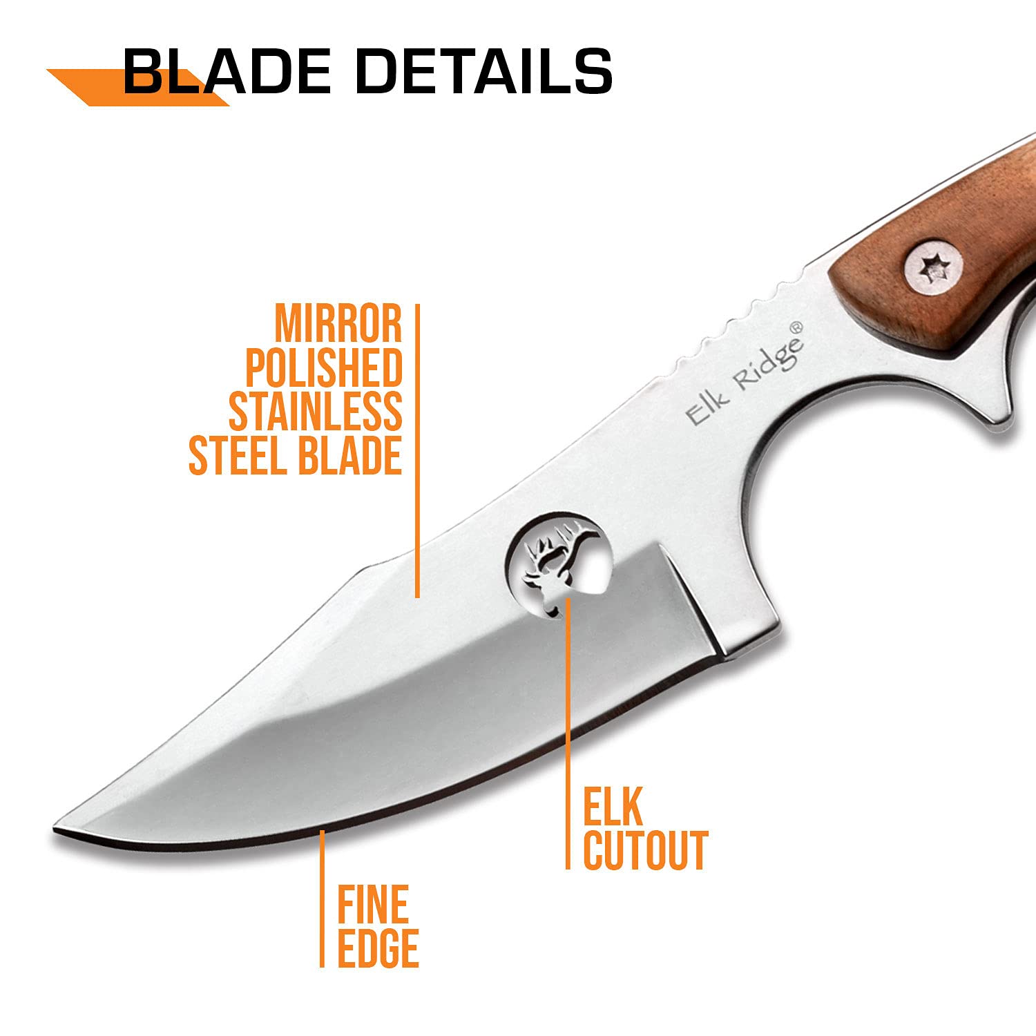 Elk Ridge - Outdoors Fixed Blade Knife - 6.75-in Overall, Mirror Finished Stainless Steel Blade, Burl Wood Handle - Full Tang Construction, 1680D Nylon Sheath - Hunting, Camping, Survival - ER-534