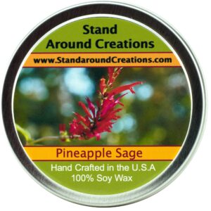 Stand Around Creations Soy Aromatherapy Candle - Scent: Apple Fragrance 6oz White