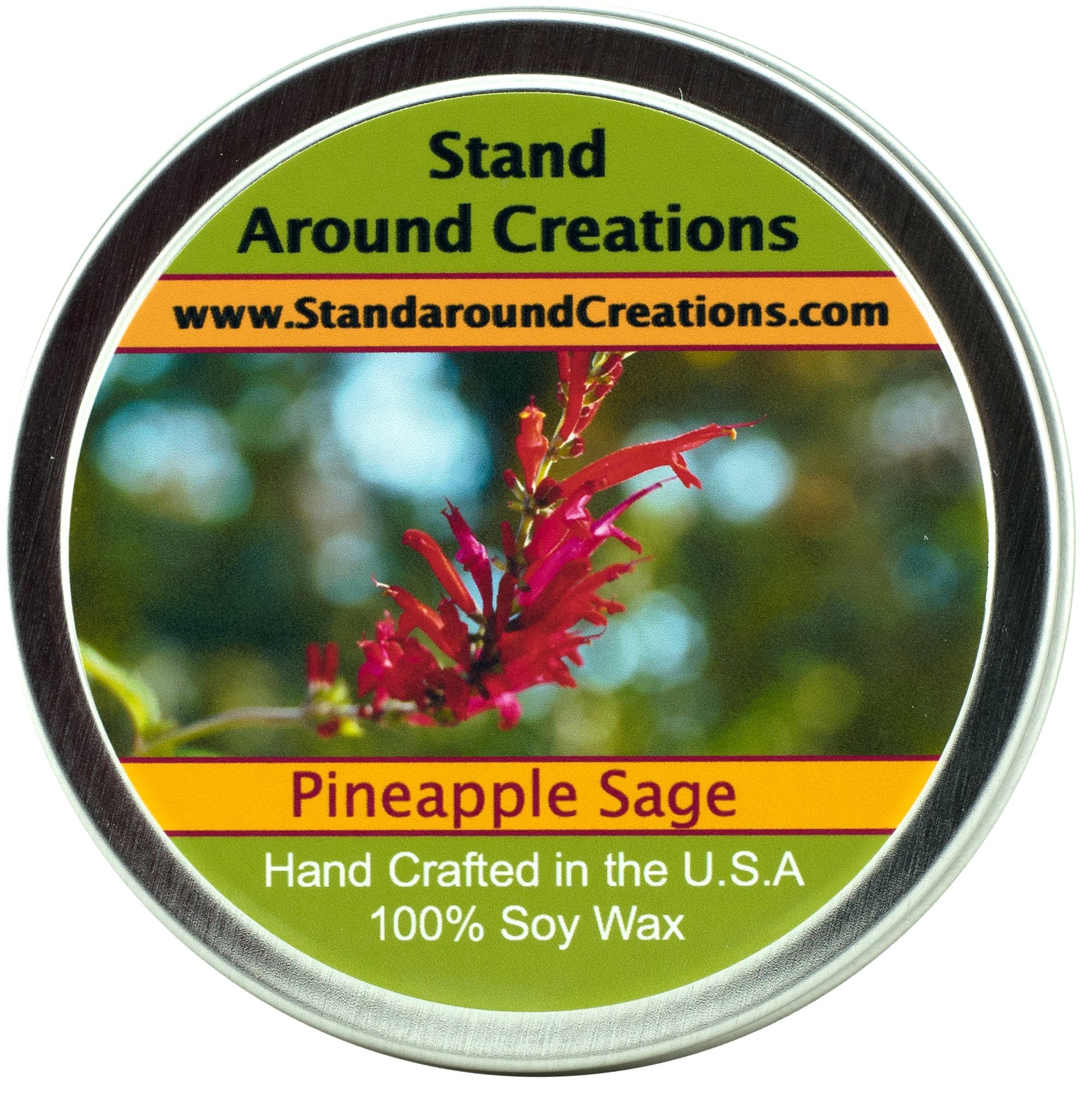 Stand Around Creations Soy Aromatherapy Candle - Scent: Apple Fragrance 6oz White