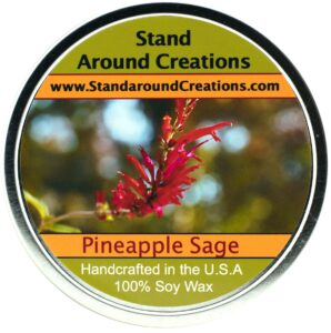 stand around creations soy aromatherapy candle - scent: apple fragrance 16oz white