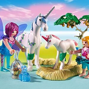 Playmobil Fairies with Toadstool House Building Kit