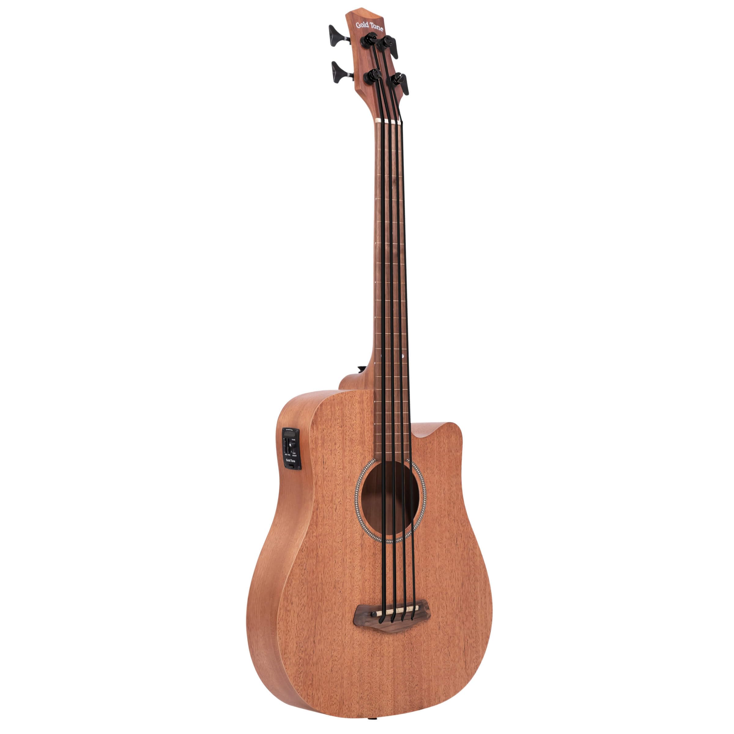 M-Bass25FL 25-Inch Scale Fretless Acoustic-Electric MicroBass with Gig Bag