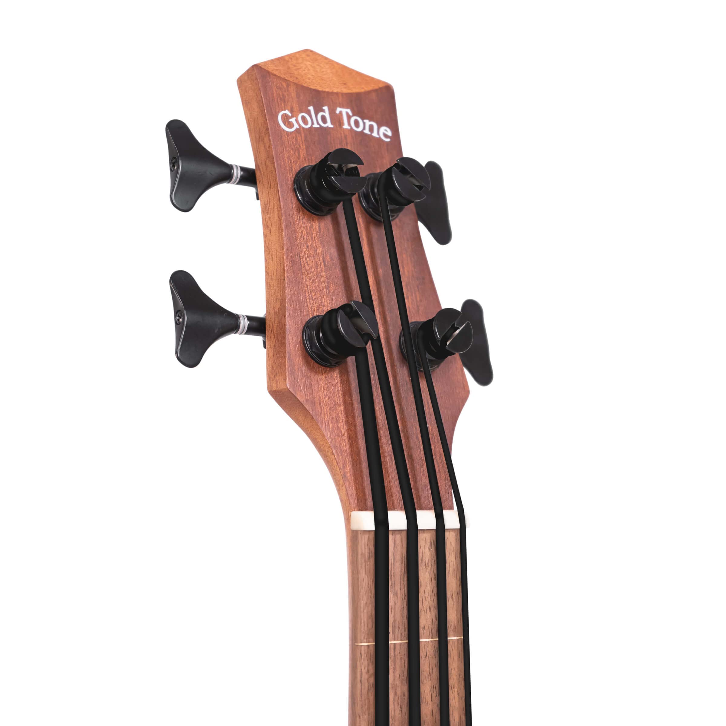 M-Bass25FL 25-Inch Scale Fretless Acoustic-Electric MicroBass with Gig Bag