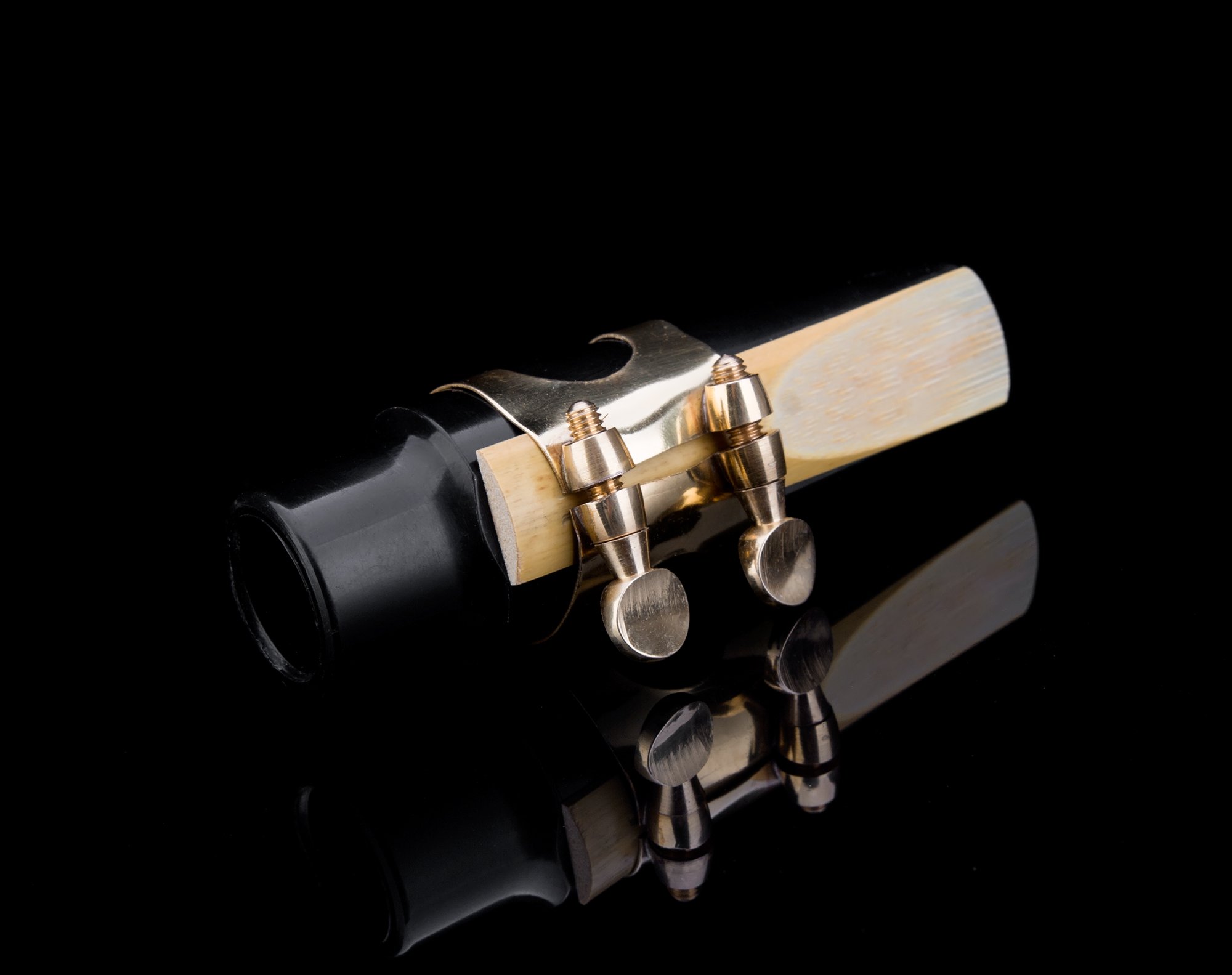 Glory Alto Saxophone Mouthpiece Kit with Ligature,one reed and Plastic Cap-Gold