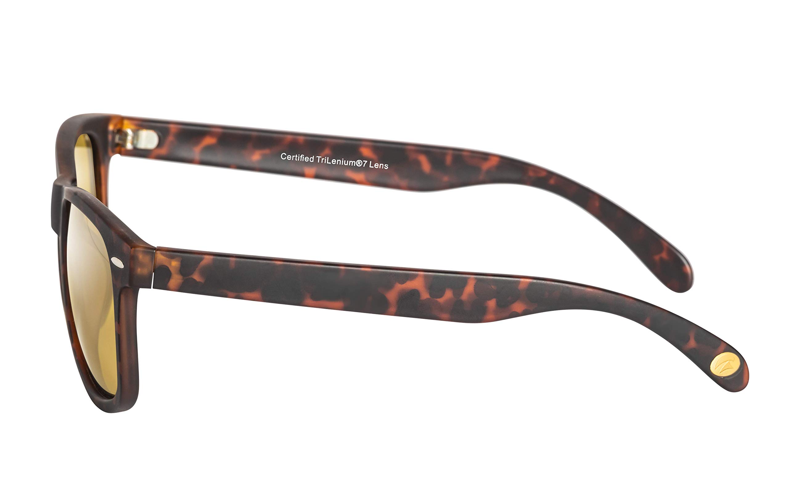 Eagle Eyes Charlie Polarized Sunglasses - Tortoise