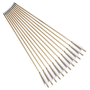 e5e10 12Pcs 33.5" Traditional European Style Wooden Arrow Color White Turkeys Feather Hunting Target Practice Arrow Outdoor Gift