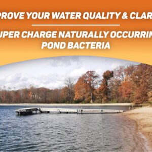 Crystal Blue Pond Booster - Crystal Blue Pond Dye & Natural Pond Cleaner Combo - Treats up to 1 Acre - Crystal Blue Water While Reducing Muck & Sludge - 1 Gallon