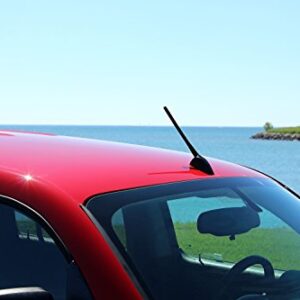 AntennaMastsRus - 8 Inch Screw-On Antenna is Compatible with Ford Fusion (2006-2020)