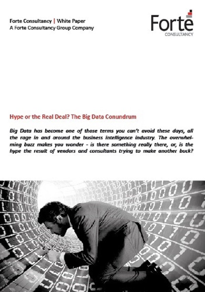 Hype or the Real Deal? The Big Data Conundrum