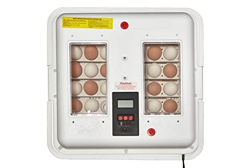 Little Giant® Digital Circulated Air Incubator with Automatic Turner | 41 Eggs | Egg Incubator with Fan and Egg Turner