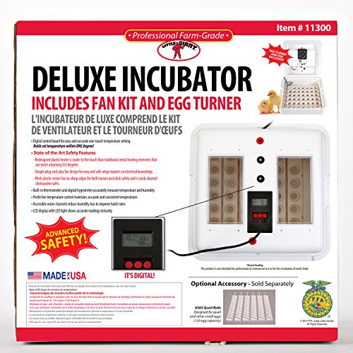 Little Giant® Digital Circulated Air Incubator with Automatic Turner | 41 Eggs | Egg Incubator with Fan and Egg Turner