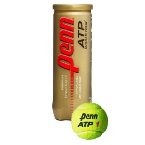 penn world tour extra duty tennis ball can