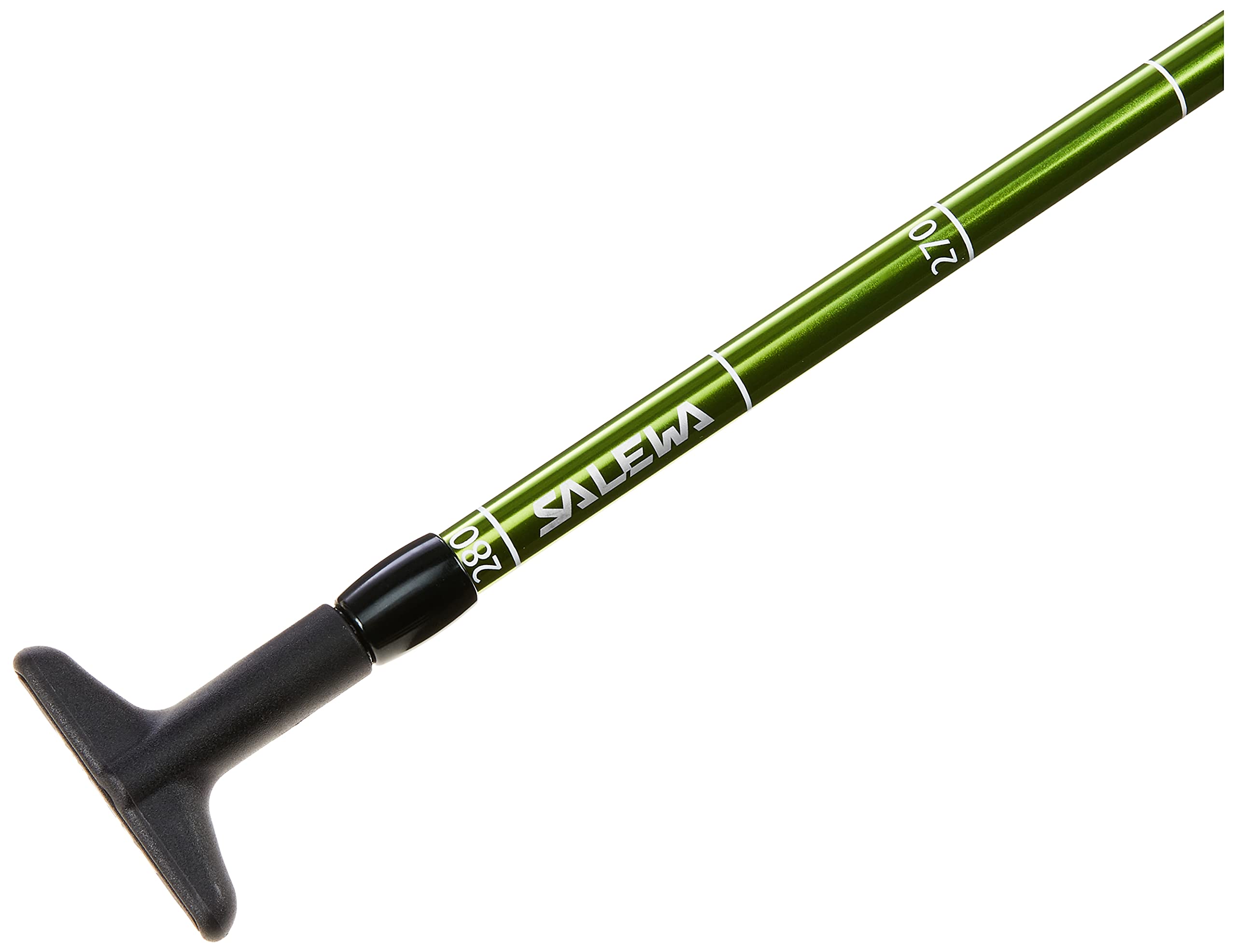 Salewa Lightning 320 PRO Probe - Avalanche Probe, Unisex, Green, One Size