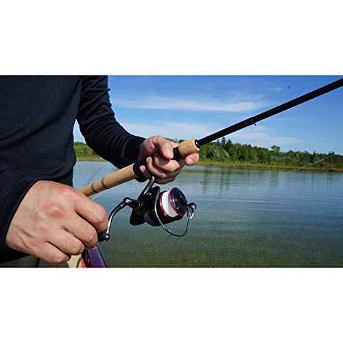 Ugly Stik 9’ Elite Salmon/Steelhead Spinning Rod, Two Piece Salmon/Steelhead Rod, 4-10lb Line Rating, Medium Light Rod Power, Medium Fast Action, 1/8-5/8 oz. Lure Rating,Cream & Black