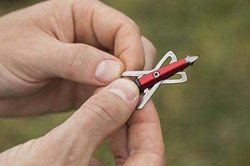 RAGE Chisel Tip 2 Blade Broadhead, 100 Grain with Shock Collar Technology - 3 Pack, Red, Model:65100