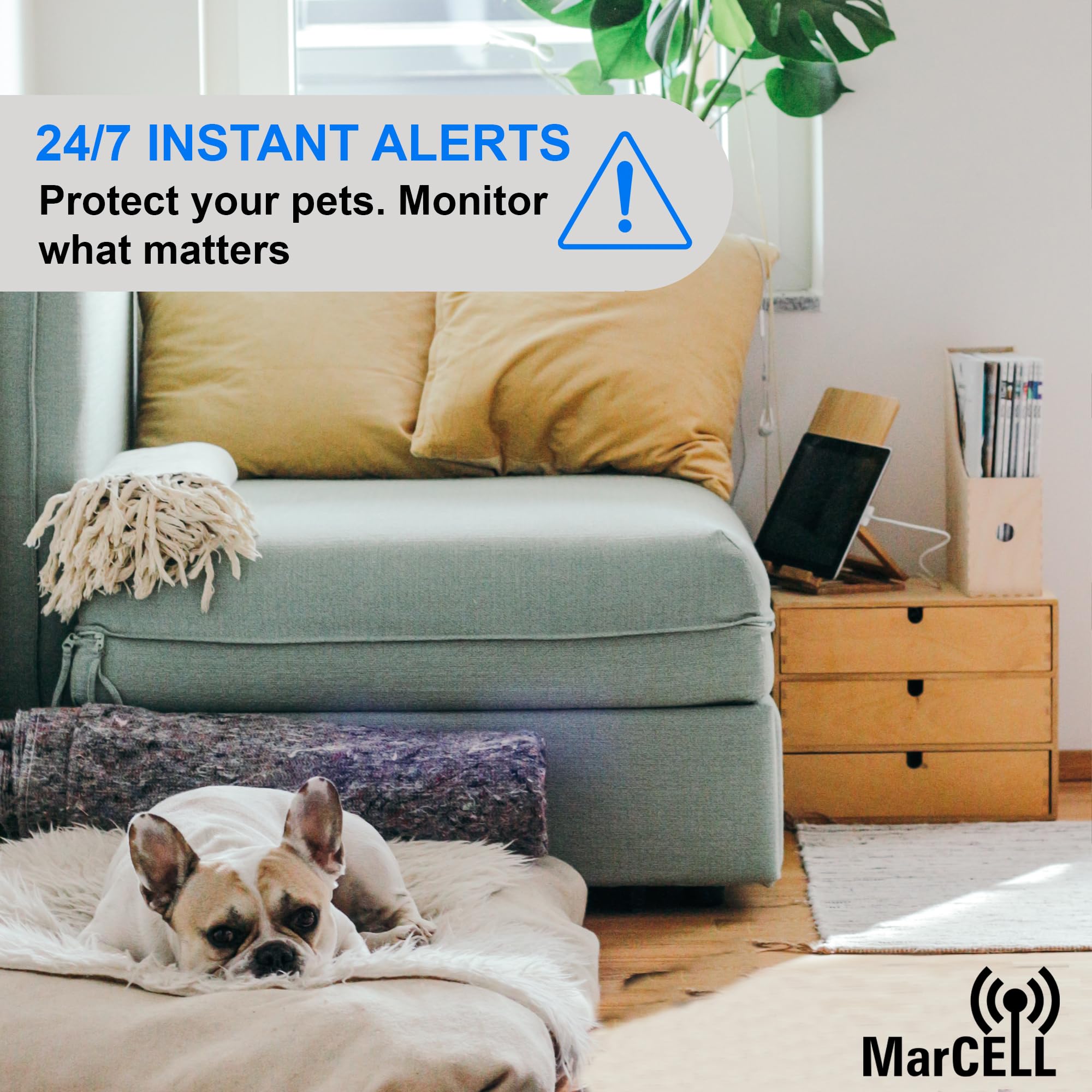 MarCELL Cellular Temperature, Humidity & Power Monitor (Verizon) - Made in The USA - RVs, Pet Safety Monitoring, Second Home Monitoring, Greenhouse Monitoring,- 24/7 Monitoring & Instant Alerts