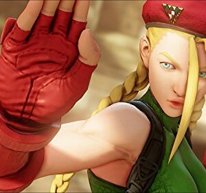 Street Fighter V - PlayStation 4 Standard Edition