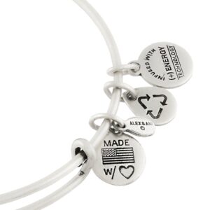 Disney Parks Lion King Hakuna Matata Charm Bangle Alex & Ani Silver New W Tags