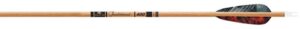 gold tip traditional arrows with 4-inch feathers (pack of 6), brown, 400