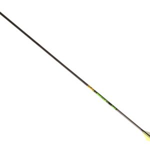 Gold Tip Hunter XT Arrows with Raptor Vane (Pack of 6), Black, 300