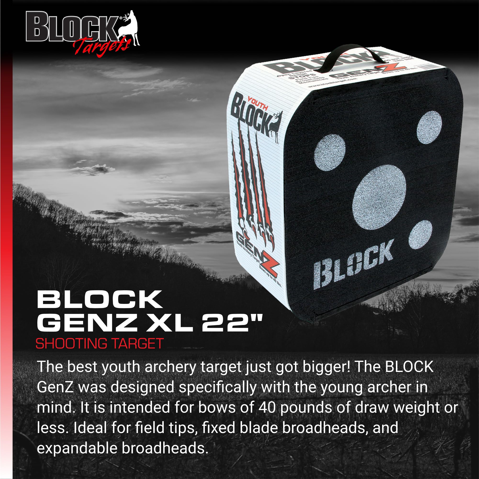 Field Logic Block GenZ XL 20” Youth Archery Arrow Target, Black and White