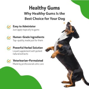 Pet Wellbeing - Healthy Gums for Dogs - Natural Supplement for Healthy Gums, Teeth and Breath against Dog Gingivitis - 2oz (59ml).