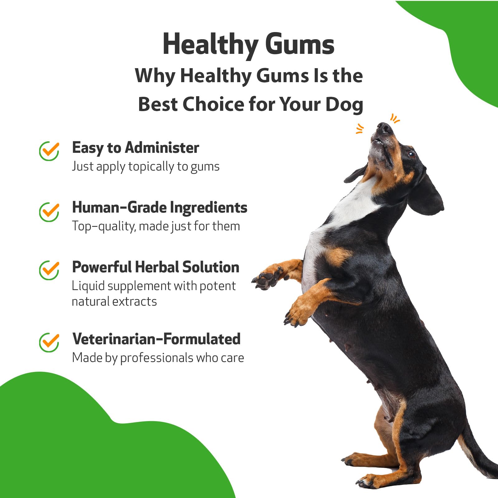 Pet Wellbeing - Healthy Gums for Dogs - Natural Supplement for Healthy Gums, Teeth and Breath against Dog Gingivitis - 2oz (59ml).