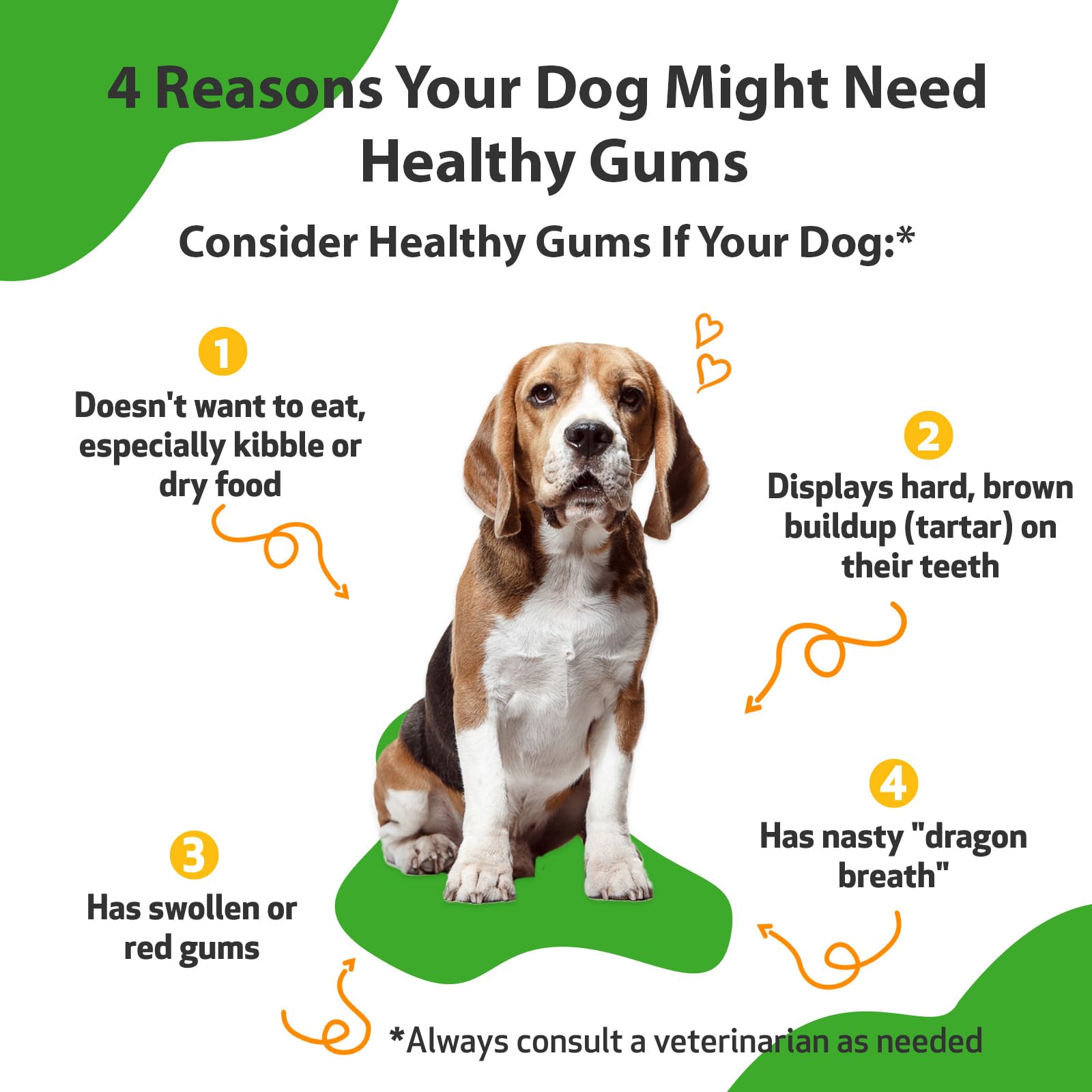 Pet Wellbeing - Healthy Gums for Dogs - Natural Supplement for Healthy Gums, Teeth and Breath against Dog Gingivitis - 2oz (59ml).