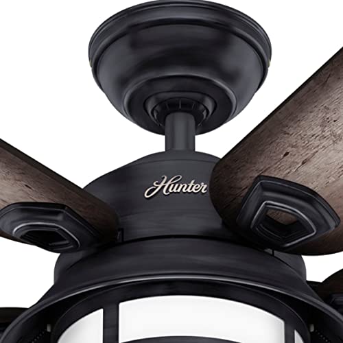 Hunter Fan Company Fan Key Biscayne Indoor/Outdoor Ceiling Fan with 2 LED Lights and Pull Chain Control, Weathered Zinc Finish, 54 Inch