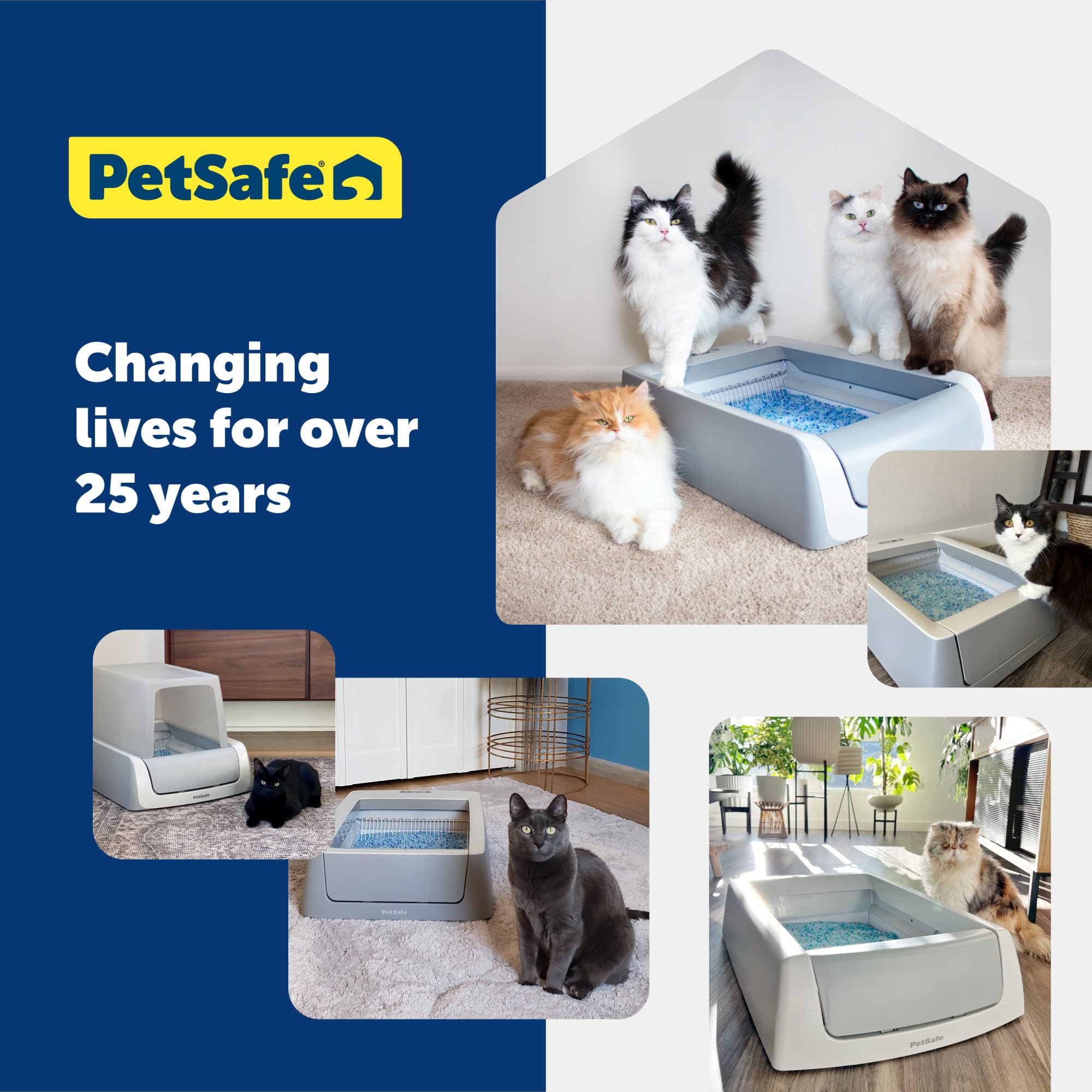 PetSafe ScoopFree Replacement Crystal Cat Litter Tray, Fragrance-Free, 6-Pack – Easy Cleanup with Disposable Tray – Includes Leak Protection and Low Tracking Litter – Absorbs Odors on Contact