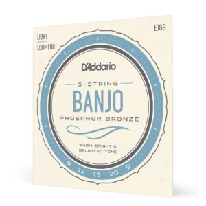 d'addario ej69 phosphor bronze 5-string banjo strings, light, 9-20