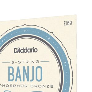 D'Addario EJ69 Phosphor Bronze 5-String Banjo Strings, Light, 9-20