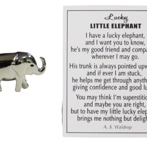 Ganz Lucky Little Elephant Charm with Story Card!