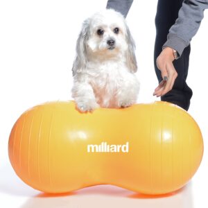 Milliard Peanut Ball Physio Roll for Exercise, Therapy, Labor, Birthing and Dog Training…