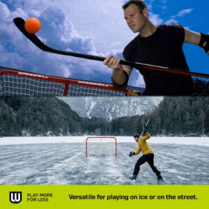 Winnwell Regulation Size Hockey Net - Indoor & Outdoor Heavy Duty Goal - Good for Street, Field & Rink