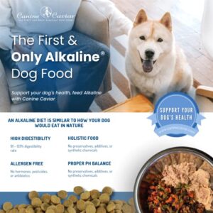 Canine Caviar Special Needs Dog Food – Limited Ingredient Alkaline Holistic Dog Food – Gluten Free, Premium for Older & Sensitive Stomach Dogs – for Skin & Coat – Chicken & Brown Rice – 11 lbs