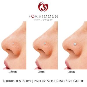 Forbidden Body Jewelry 20G Surgical Steel 2mm Bezel Set CZ Crystal Nose Stud, Purple