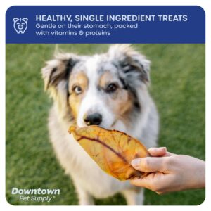 Downtown Pet Supply - Jumbo Pig Ears - Dog Dental Treats & Rawhide-Free Dog Chews - Healthy Coat & Skin Care, Cholesterol & Heart Health Dog Treats - Protein, Vitamins & Minerals -35 Pack