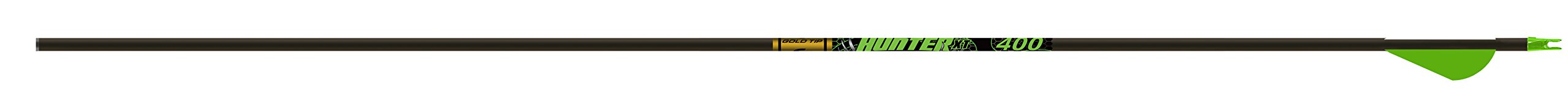 Gold Tip Hunter XT Arrows with 2-Inch Raptor Vanes (1-Dozen), 300, Color May Vary