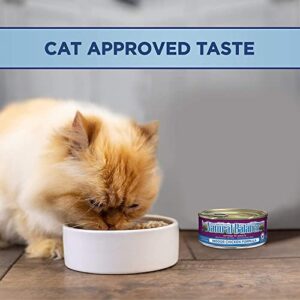 Natural Balance Ultra Premium Chicken Indoor Cat Food | Wet Canned Food for Cats | 5.5-oz. Can, (Pack of 24)