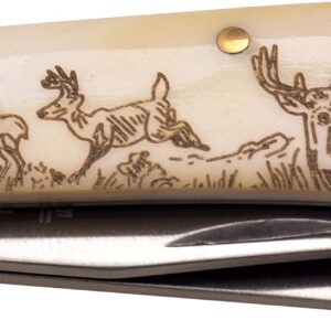 Elk Ridge - Outdoors Manual Folding Knife - 2.75 in Satin Finish Blade, Ox Bone Handle with Laser Deer Artwork - ER-220DR