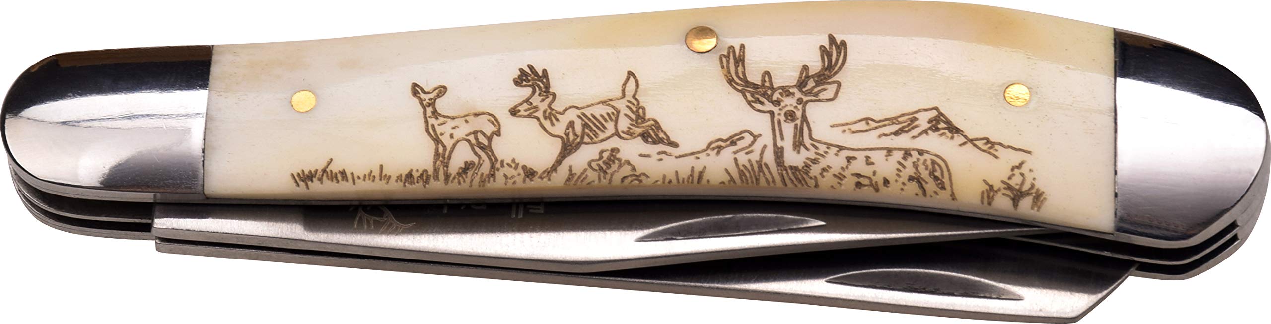 Elk Ridge - Outdoors Manual Folding Knife - 2.75 in Satin Finish Blade, Ox Bone Handle with Laser Deer Artwork - ER-220DR