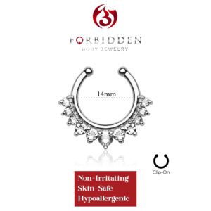 Forbidden Body Jewelry Non-Piercing Septum Jewelry: Fancy Multi Gem Clear CZ Crystal Clip On Septum Hanger