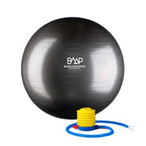 black mountain products 65cm professional grade stability yoga ball, black