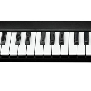 MIDIPLUS AKM320 USB MIDI Keyboard Controller, Black, 32-key